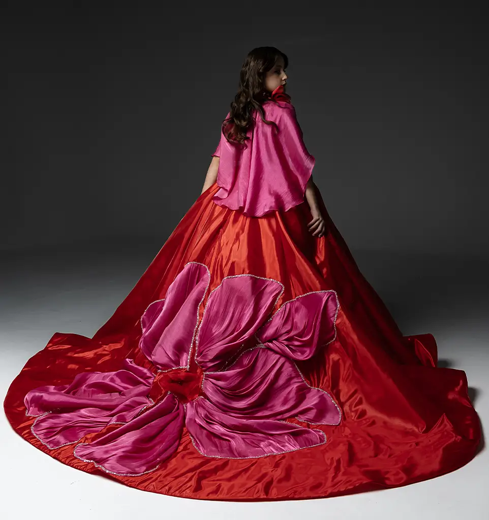 The elsa fairy story